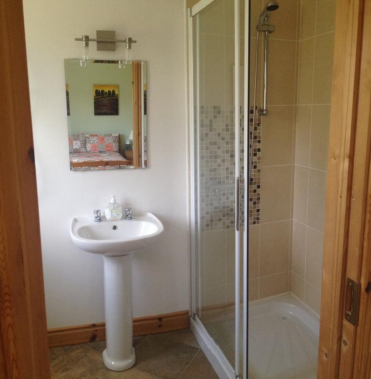 Ballyfarnon Amber B&B חדר תמונה